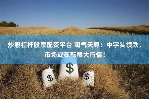 炒股杠杆股票配资平台 淘气天尊：中字头领跌，市场或在酝酿大行情！