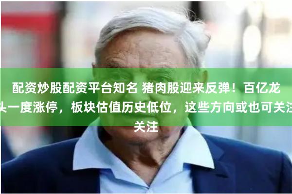 配资炒股配资平台知名 猪肉股迎来反弹！百亿龙头一度涨停，板块估值历史低位，这些方向或也可关注