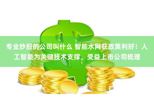 专业炒股的公司叫什么 智能水网获政策利好！人工智能为关键技术支撑，受益上市公司梳理
