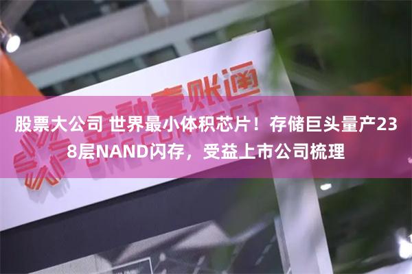 股票大公司 世界最小体积芯片！存储巨头量产238层NAND闪存，受益上市公司梳理