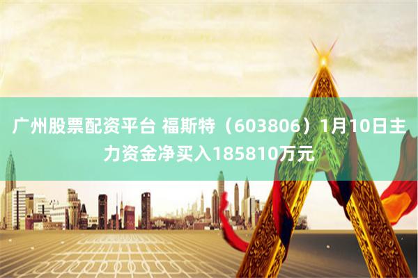 广州股票配资平台 福斯特（603806）1月10日主力资金净买入185810万元