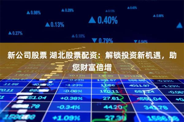 新公司股票 湖北股票配资：解锁投资新机遇，助您财富倍增